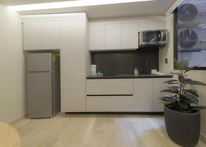 Apartment Capitalia Aristoteles Polanco
